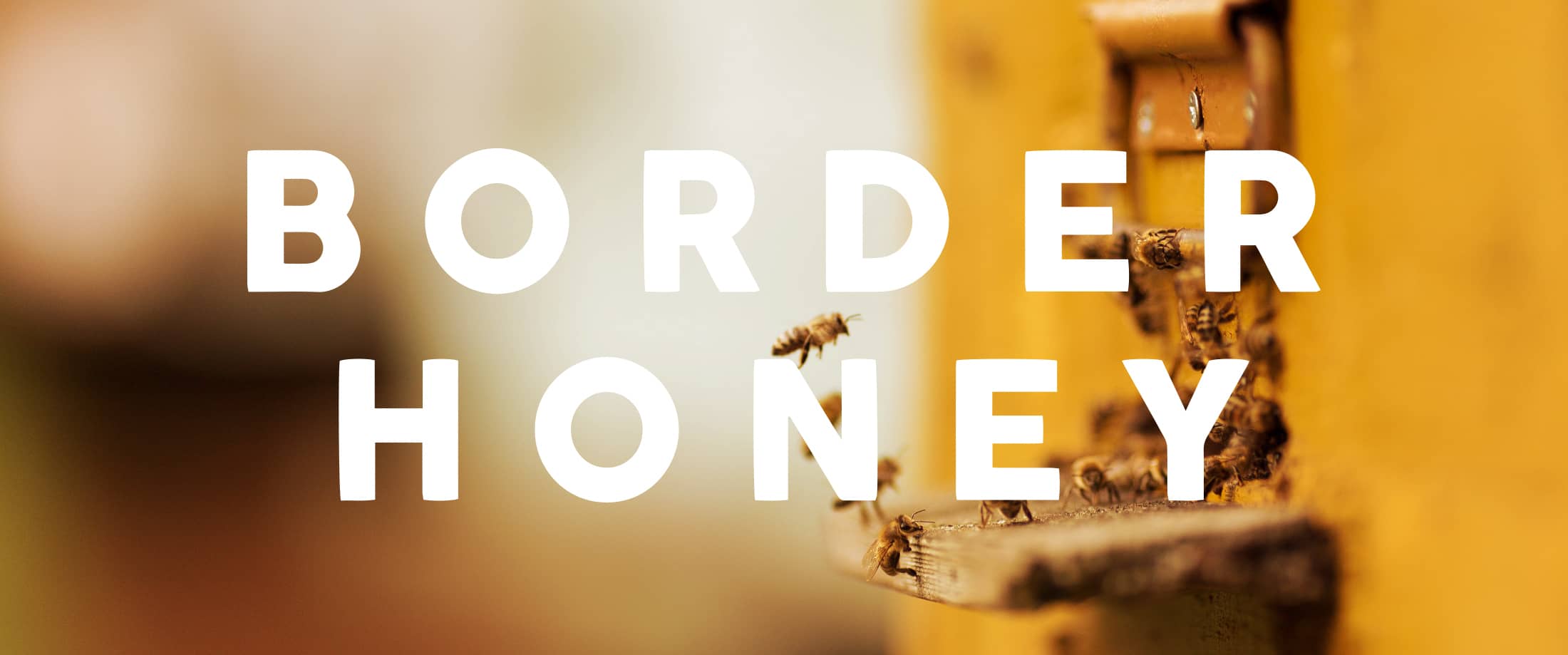 Read our Eat Marketing case study on Border Honey.